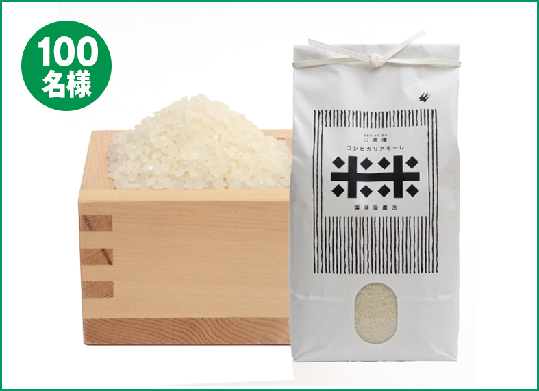 コシヒカリアモーレ 白米 5キロ