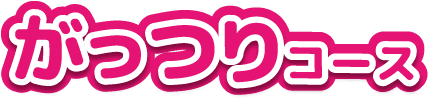 がっつりコース
